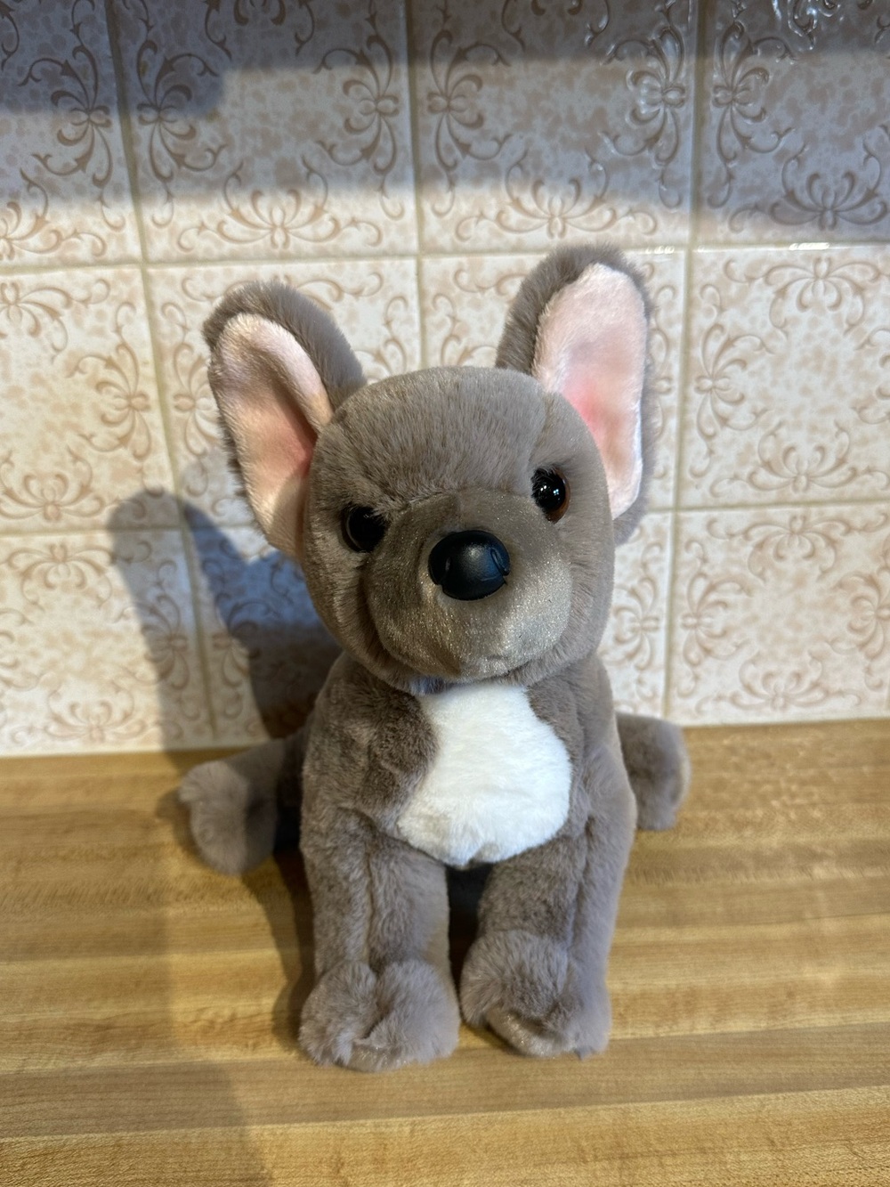 Douglas Gabbie the French Bulldog